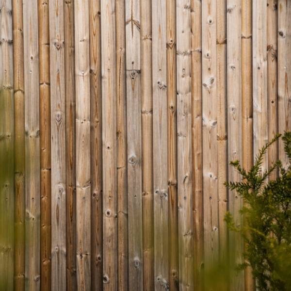 An Alternative to Siberian Larch – Thermally Modified Timber