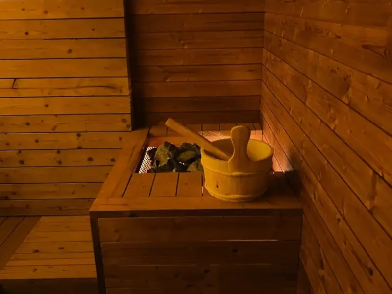 Building a Sauna?