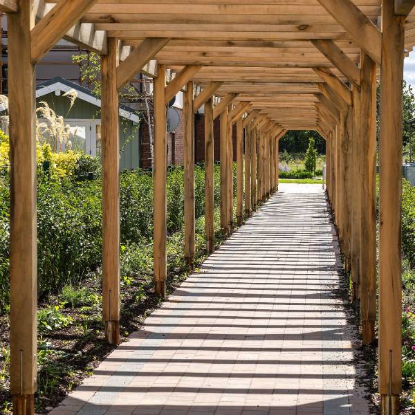 The Longest Pergola in Ireland?