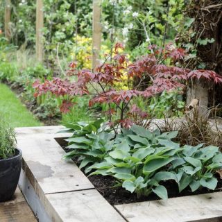 Chemical Free, French Oak Sleepers for Landscaping